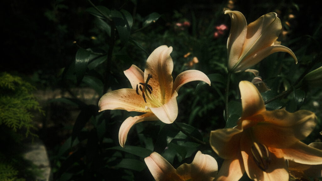 Spring News